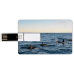 8G USB Flash Drives Credit Card Shape Whale Decor Memory Stick Bank Card Style A Real Photo Image of Four Killer Whales coming out of the Sea Artwork,Blue and Black Waterproof Pen Thumb Lovely Jump D