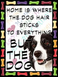 Shawprint Border Collie Dog Fridge Magnet 100mm x 75mm HOME IS WHERE THE DOG HAIR STICKS TO EVERYTHING BUT THE DOG Novelty Gift