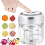 VOUM Mini Food Chopper Electric - Food Processor and Blender, USB Charging Portable Vegetable Fruit Meat Garlic Onion Ginger Chopper with 3 Sharp Blades Grinder,Kitchen Gadget (white-250ml)