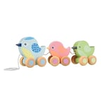 Birds Pull Along Toy - Animal Push and Pull Along Toys for 1 Year Olds, Toddler, Wooden Walker Toys - 1st Birthday Gifts for Baby Boys and Girls - Early Development & Activity Toys by Orange Tree Toys