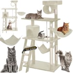 BAKAJI Grattoir, Arbre à Chat, Arbre d'escalade avec hamac, colonnes en sisal, Stable et Extra Large, abris, escalier, Jeu en sisal et Corde de Jeu, Hauteur de 143 cm, Beige