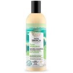 Natura Siberica shampoo, 270ml