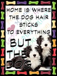 Shawprint Bearded Collie Puppies Dog Fridge Magnet 100mm x 75mm HOME IS WHERE THE DOG HAIR STICKS TO EVERYTHING BUT THE DOG Novelty Gift