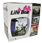 Lucky Reptile Life Box Terrarium Design