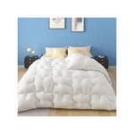 Couette 200x200 cm Hiver Grand Froid Diamant - Blanc - Garnissage Haute Densité 700g/m² Fibre Creuse - Casabel