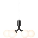 Apiales 6 Chandelier, Satin Black / Opal