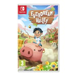 Everdream Valley (Switch)