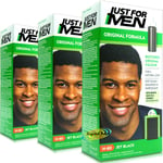 3x Just For Men H60 Jet Black Original Formula Shampoo in Haircolour Dye