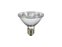 PAR-30 240V E-27 18 LED 5mm yellow