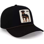 Casquette Goorin Bros  -