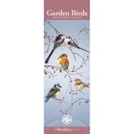 Garden Birds by Pollyanna Pickering Slim Calendar 2025 (häftad, eng)