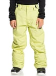 Quiksilver Pantalon de Snow Estate Youth PT Vert 10