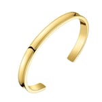 Luxury Ladies Bangle in Gold Swan & Edgar