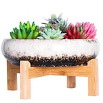 ARTKETTY Pot de Fleurs, Grand Pot de Succulentes avec Drainage Pot de Bonsaï Rond avec Support Pot en Céramique pour Plantes Cactus