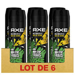 AXE Déodorant Homme Spray Wild, 48h non-stop frais, Parfum mojito et bois de cèdre (Lot de 6x200ml)