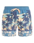 Quiksilver Boardshort Everyday Straight Volley 15 Homme Bleu XL