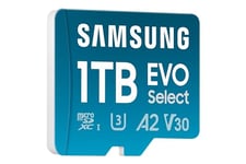 Samsung Carte mémoire microSDXC, Evo Select MB-ME1T0SA/EU, 1 to, Vitesse de Lecture 160 Mo/s¹, fournie avec Adaptateur SD