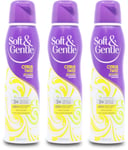 Soft & Gentle Citrus Twist Anti-perspirant 150ml | Long-Lasting | Deodorant X 3