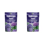 Vitax Hydrangea Feed 1KG (Pack of 2)