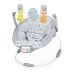 Bright Starts, Transat Disney Baby Winnie the Pooh Classic Pals pour Bébé, avec Vibrations, Mélodies et Jouets, Unisexe, 0 à 6 Mois