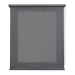 Store Enrouleur Transparent pour fenêtres et Portes Estores BASIC, Top Gris 60 x 180 cm