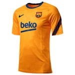 Nike Fc Barcelona 22/23 Dri Fit Pre Match Short Sleeve T-shirt