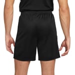 Nike Dri-fit Academy 23 Shorts