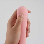 iroha Mai TSURU Vibrator