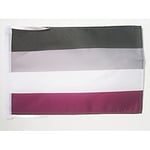 Drapeau Arc-en-Ciel Asexuel 45x30cm - PAVILLON Aasexualité - Rainbow 30 x 45 cm haute qualité - AZ FLAG