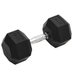 Dumbbell 22.5 kg Cast Iron vidaXL