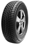 Mastersteel WINTER + 215/50R17 95 H