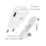 Chargeur + Cable Cordon double Prise USB-C et MicroUSB Original Samsung Pour Galaxy S1 S2 S3 S4 S5 S6 S7 S8 S9 S10 S20 S21 S22