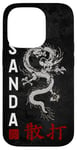 iPhone 14 Pro Dragon Sanda Chinese Boxing Case