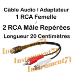 Câble Adaptateur RCA Femelle vers 2 RCA Mâle Fiches Surmoulées Longueur 20 cm