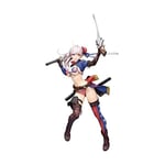 Fate/Grand Order Berserker Miyamoto Musashi 1/7scale ABS PVC Figure Alter Ja FS