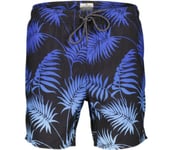 Egan Tropics Volley badshorts Herr BLACK M