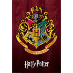 Harry Potter - Hogwarts School Crest multifärg