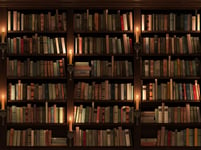 Bookshelf Seamless texture vertically and horizontally