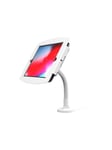 Compulocks iPad Pro 11" (1-4th Gen) Space Enclosure Flex Arm Mount