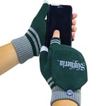 Cinereplicas - Harry Potter - Mitten Gloves - Magic Touchscreen - Officially licensed - Slytherin - Green & Grey