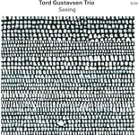 Tord Gustavsen Trio  Seeing  CD