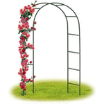 Arche Jardin/Mariage Arche Arceau à rosiers Tuteur Colonne de Jardin,Jardin métal Arche Plantes Grimpantes Métal 240 x 140 x 38 CM/Vert