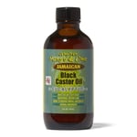 Jamaican Mango And Lime Black Castor Oil Eucalyptus