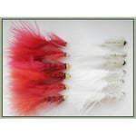 Trout Flies, Lures 12 Pack, Size 10, Red & White Bullet Coneheads, Fishing Flies