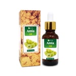 Amla (Phyllanthus Emblica)100% Pure & Natural Carrier Oil 10ml - 25 L]