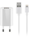 Apple Lightning charger set 1 A