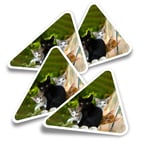 4x Triangle Stickers - Cute Kittens Black Tabby Ginger Cat #24573