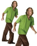 Adults Shaggy Costume Mens Scooby Doo Cartoon Fancy Dress Outfit + Wig