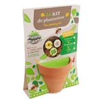 PLANÈTE PLANTE - 1 Pot Terre Cuite et Graine À Planter - Kit de Jardinage - 170071 - Terre Cuite - Jardin - Nature - Plante - Fleurs - Jeu pour Enfant - À Partir de 3 Ans