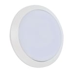 Applique extérieure blanche LED 15w 300 mm Blanche